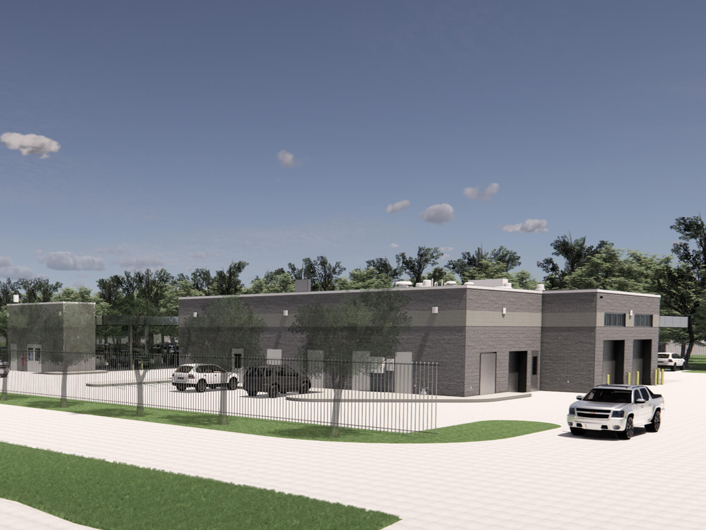 AVP Rendering